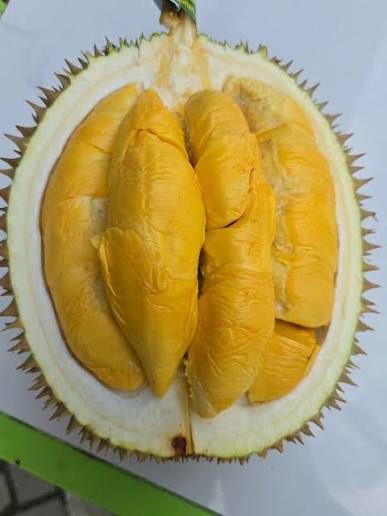 Durian Chun