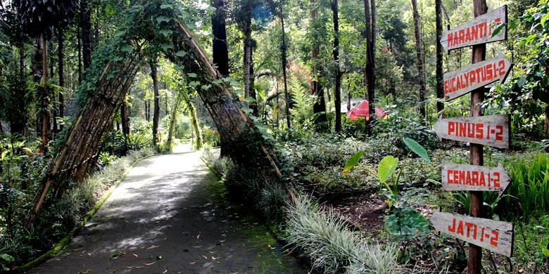 Taman Wisata Alam Cimanggu