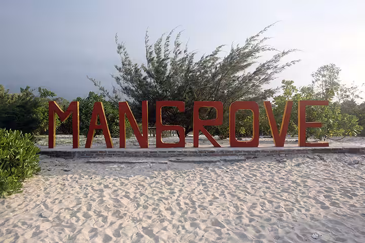 Wisata Mangrove Kampung Nipah