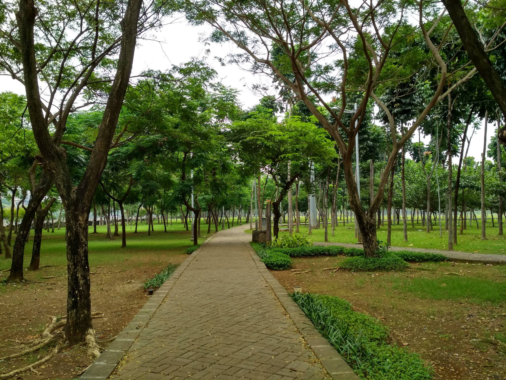 Taman Hutan Kota Penjaringan