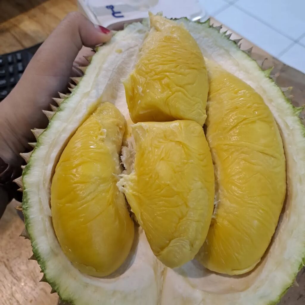 Uncle Durian
