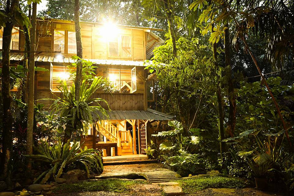 Kampung 99 Pepohonan