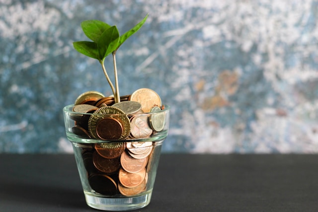 Pandangan terhadap investasi