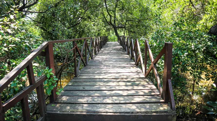 Ekowisata Mangrove Gunung Anyar