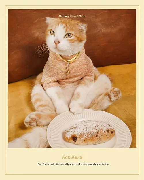 Monday Co Dago Pet Friendly Cafe Bandung Blog GoPay