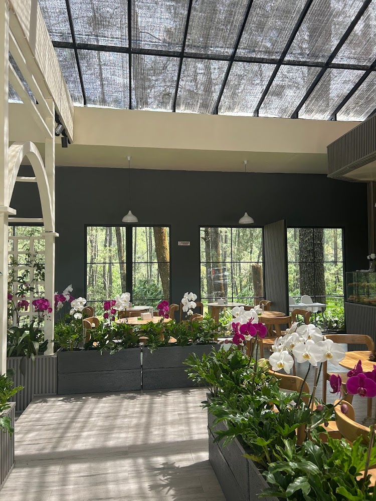 Strobilus Cafe & Resto 