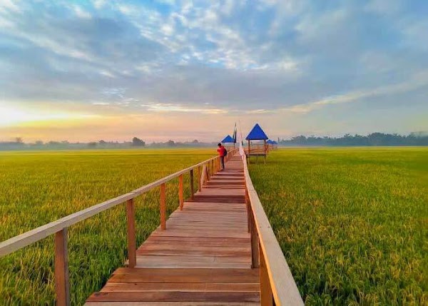Agrowisata Paloh Naga