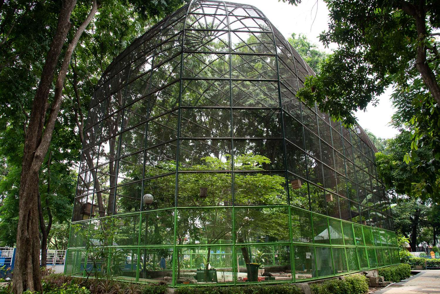 Taman Flora Bratang Surabaya 