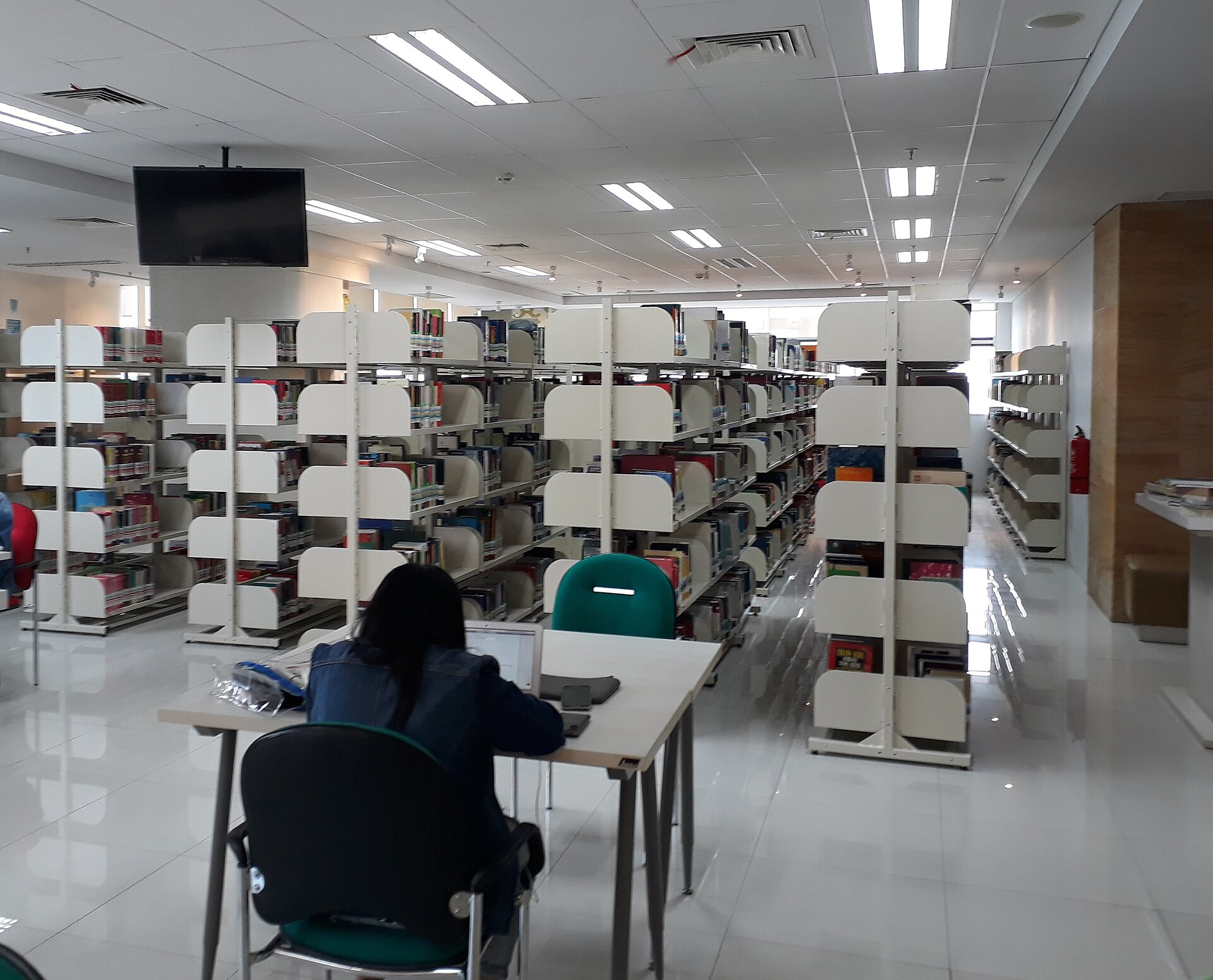 Membaca Buku
