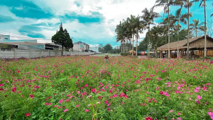 LaFresa Flower & Garden 