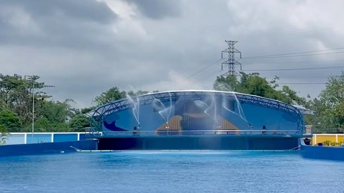 Mora Indah