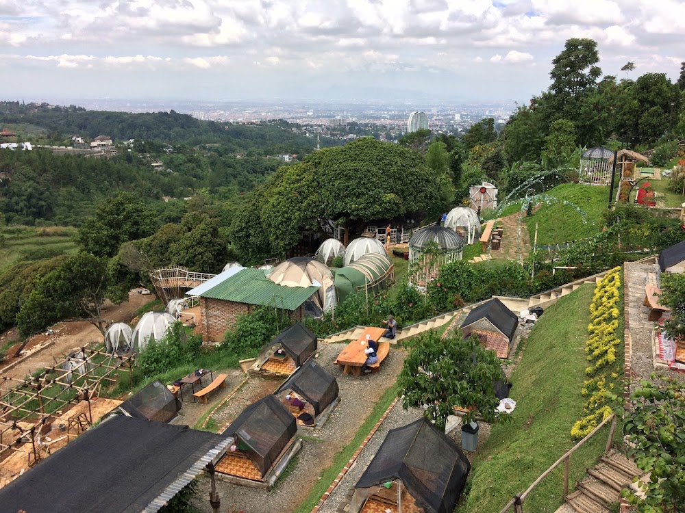 Sarae Hills 