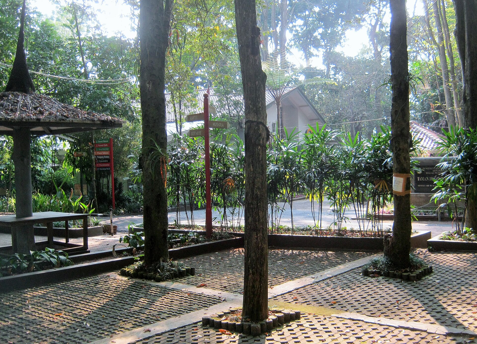 Taman Hutan Raya Ir. H. Djuanda