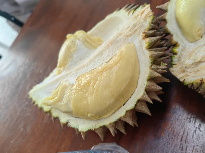 BGS Durian