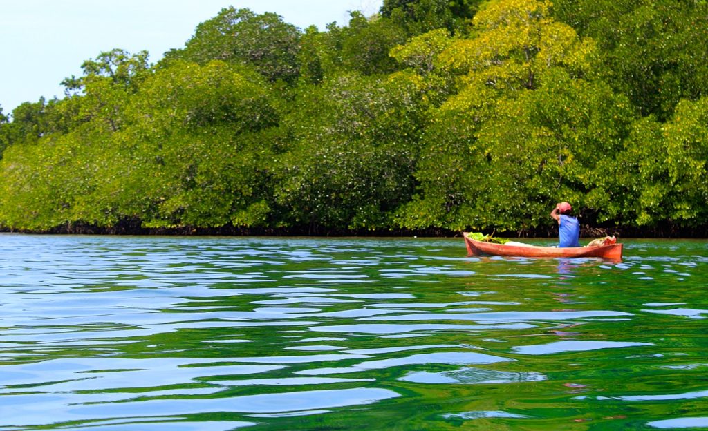 Wisata Mangrove Pamurbaya (Pantai Timur Surabaya)