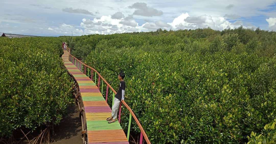 Wisata Mangrove Lantebung
