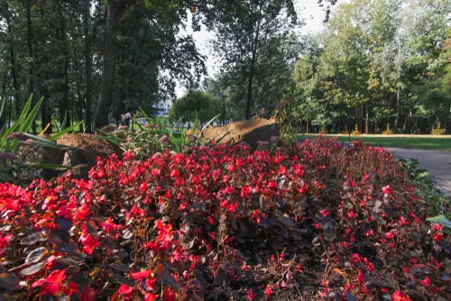 Bali Botanical Garden