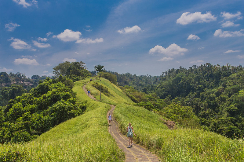 Campuhan Ridge Walk