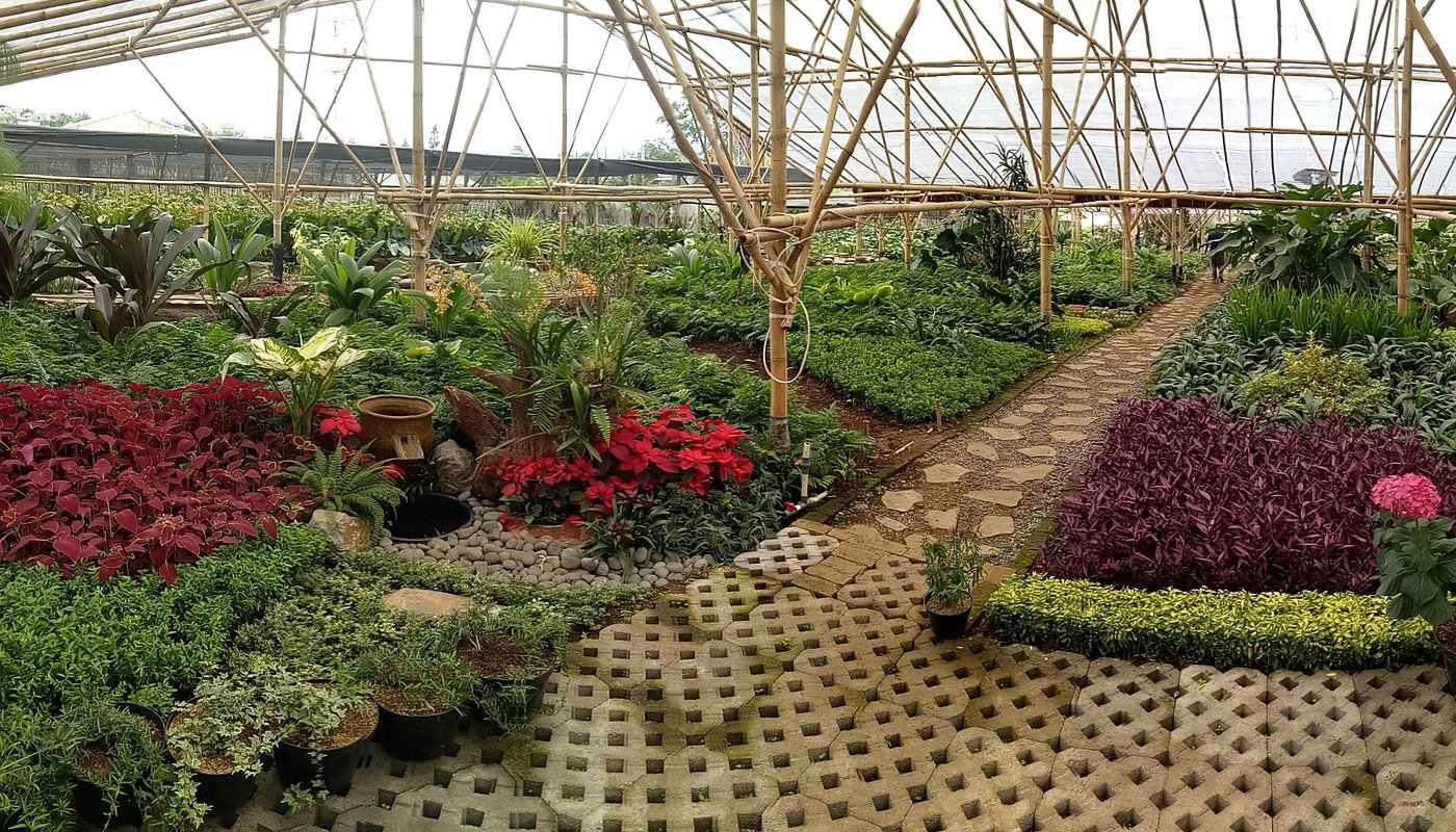 Grace Rose Farm
