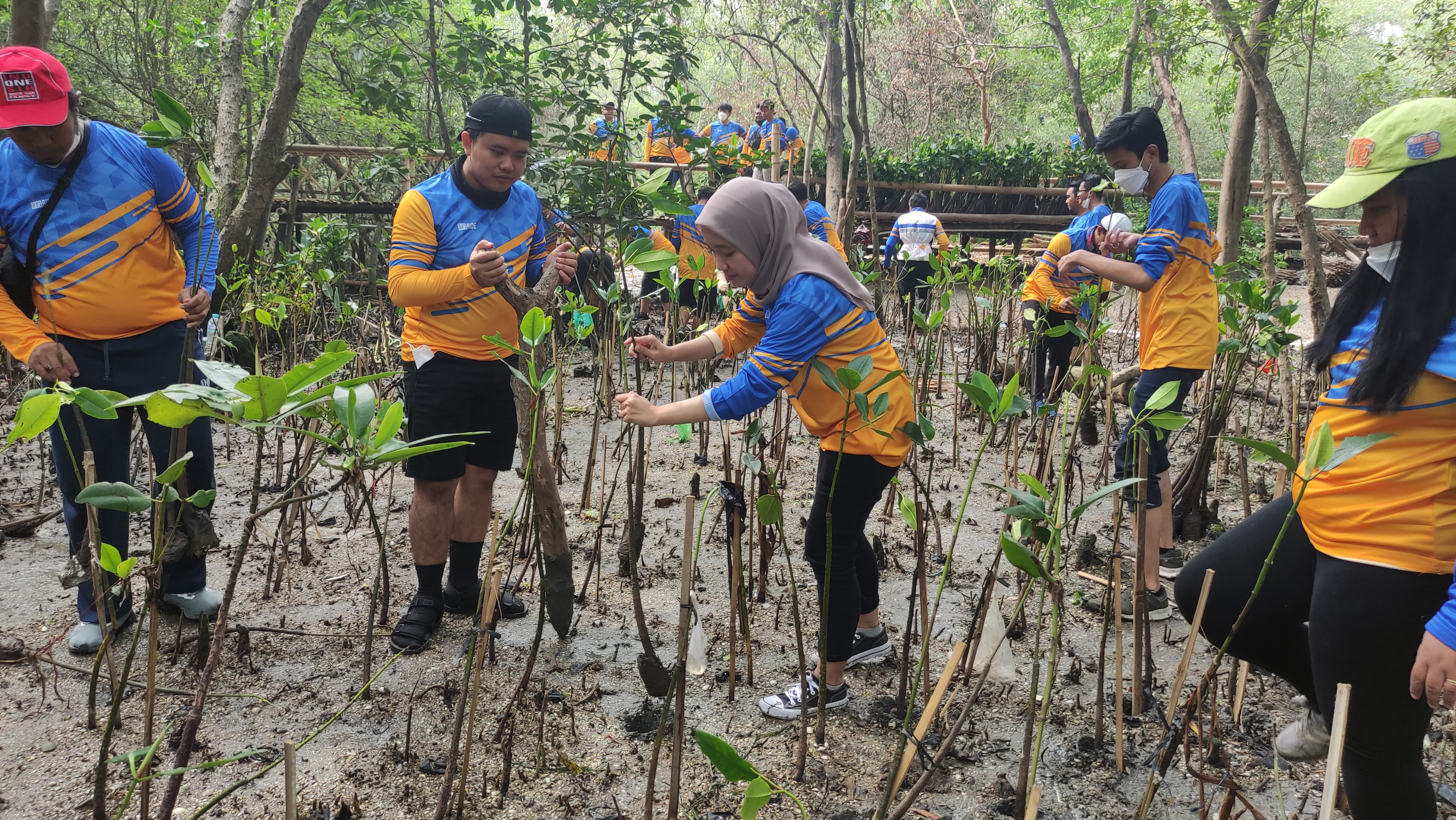 Ekowisata Mangrove Wonorejo