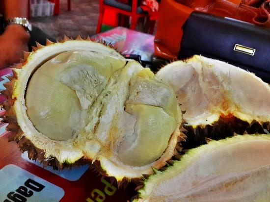 Pelawi Durian