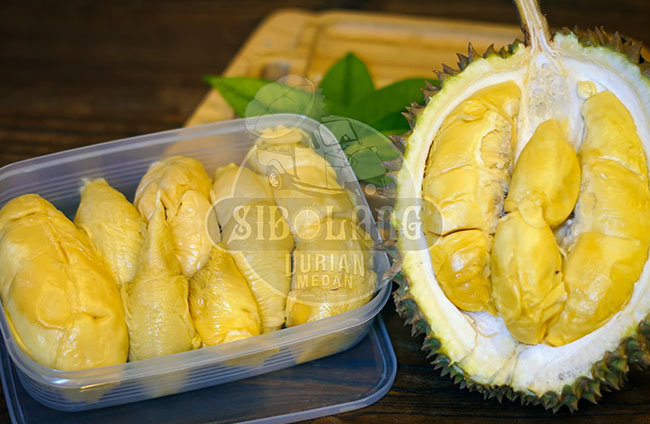 Sibolang Durian
