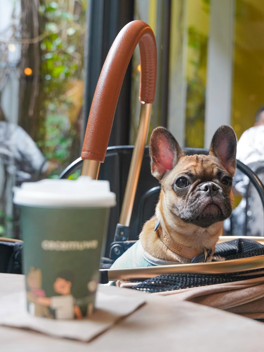 Cecemuwe Cafe and Space Senayan