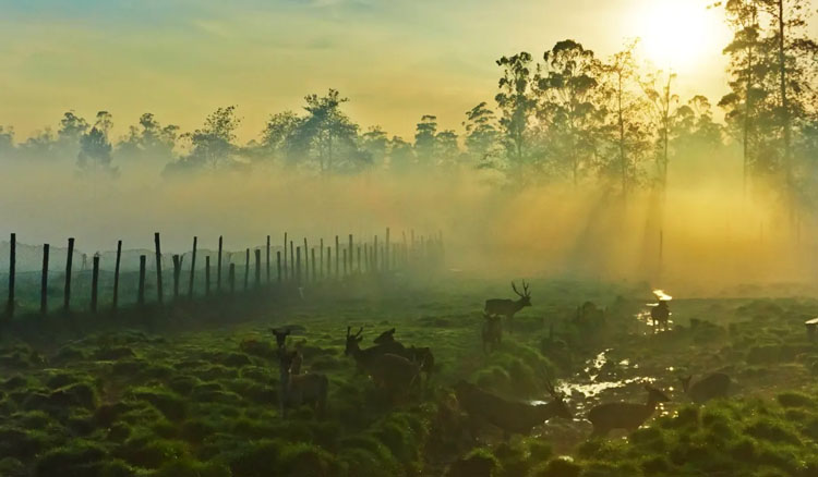 Kampung Cai Ranca Upas 