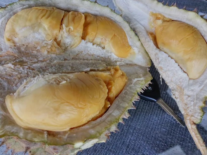 Durian Sitepu