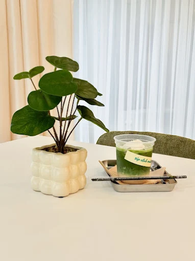 Sip Club Matcha